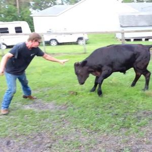 Meet your Posher, Levi